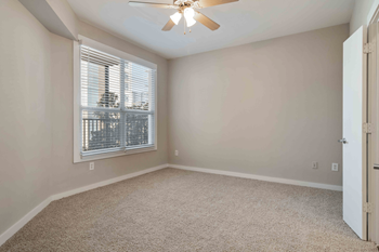 Plush carpeting